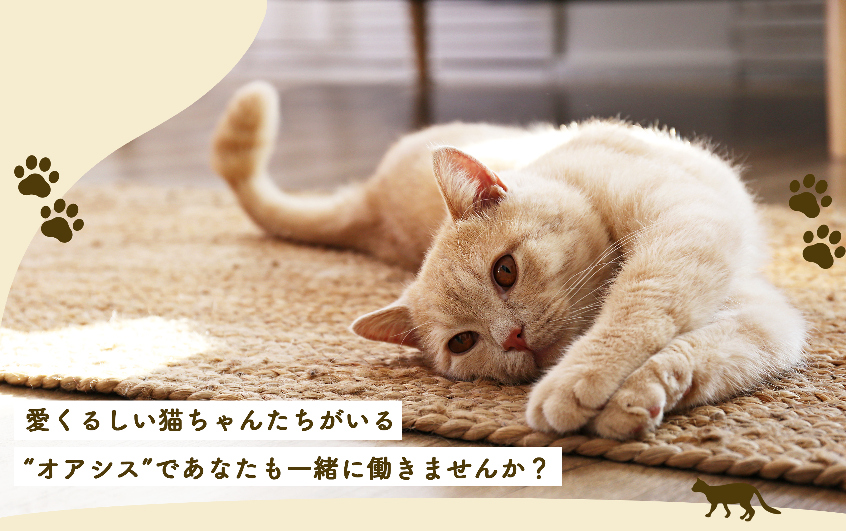 楽しく元気に優しく過ごす自然な笑顔を生み出す猫のいる家